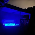 Zelcova Et Gérardmer