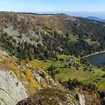 Zelcova Et * Gérardmer