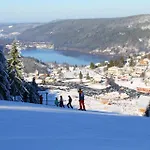 Zelcova Et Chalet