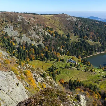 Zélcova Et * Gérardmer