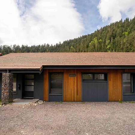 Chalet Zelcova Et Gérardmer