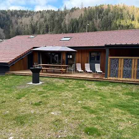 Zelcova Et Gérardmer