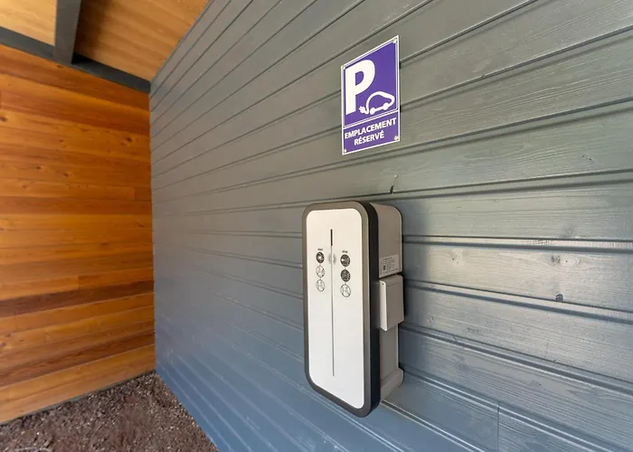 Zelcova Avec A * Gérardmer