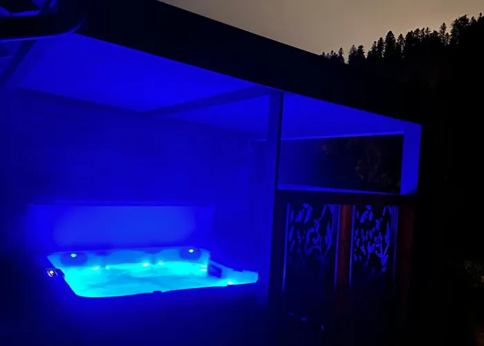 Zelcova Avec A Gérardmer