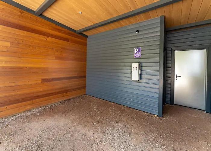 Zelcova Avec A * Gérardmer