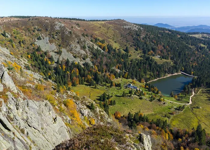 Zelcova Avec A * Gérardmer