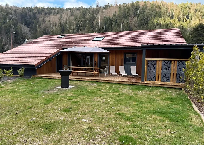 Zelcova Avec A Gérardmer